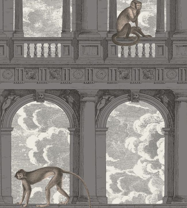 Procuratie Con Vista Wallpaper by Cole & Son Soot & Snow