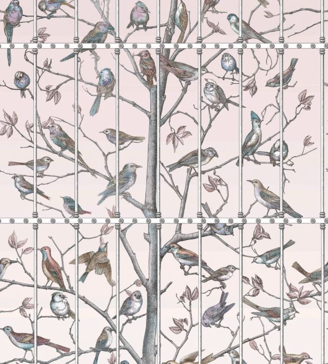 Uccelli Wallpaper Mural by Cole & Son in Ballet Slipper Jane Clayton