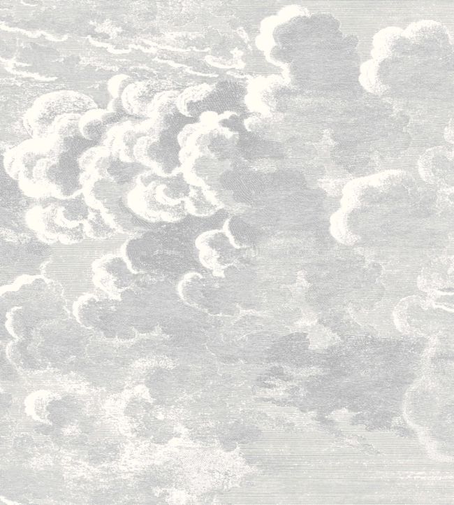 Nuvolette Mural by Cole & Son Soot and Snow