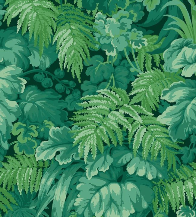 Royal Fernery Wallpaper by Cole & Son Forest Green
