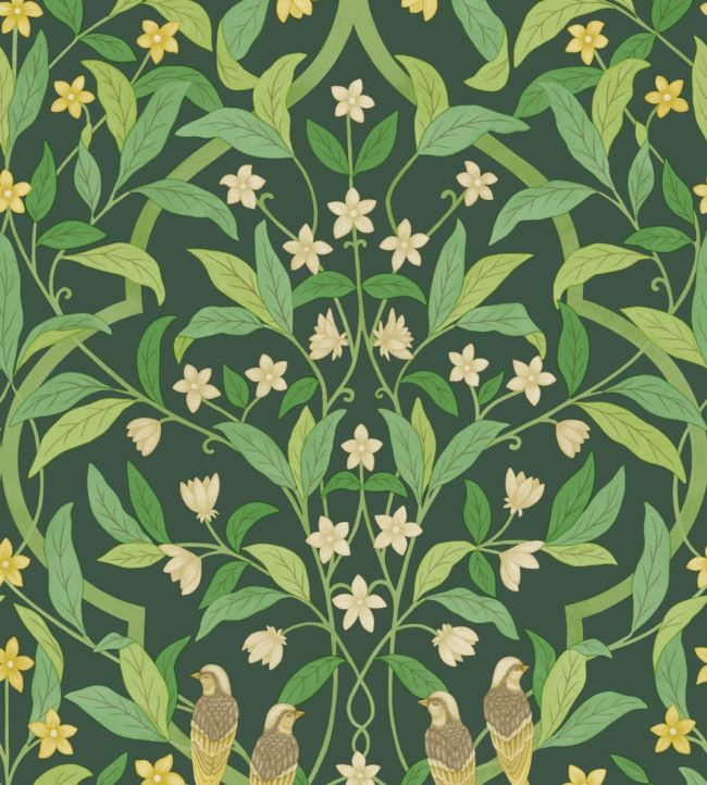 Jasmine And Serin Symphony Wallpaper by Cole & Son 10029