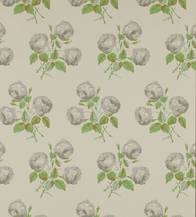 Bowood Wallpaper by Colefax and Fowler in Grey/Green | Jane Clayton