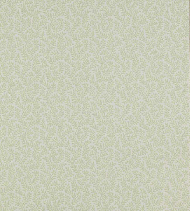 Rushmere Wallpaper by Colefax and Fowler Leaf