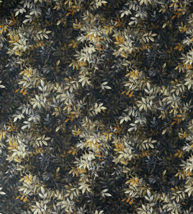Congo Fabric by Clarke & Clarke Noir