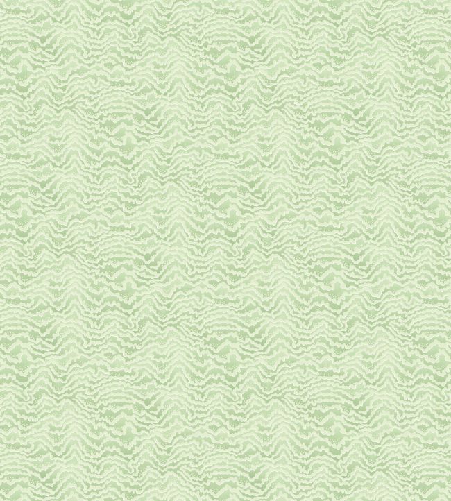 Contour Wallpaper by Ohpopsi Pistachio