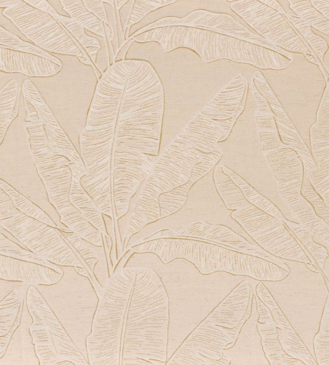 Cook Fabric by Camengo Beige