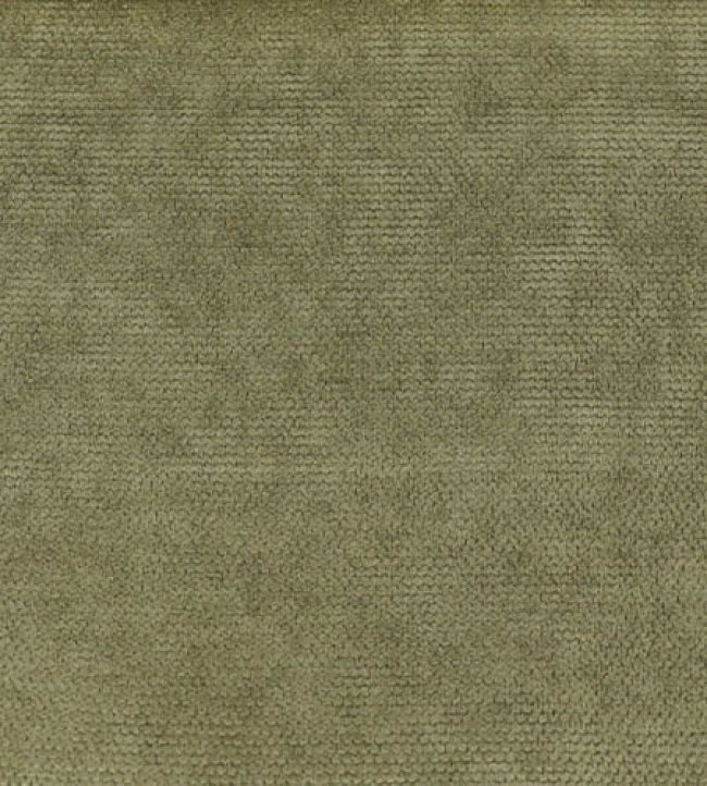 Olive green best sale fabric