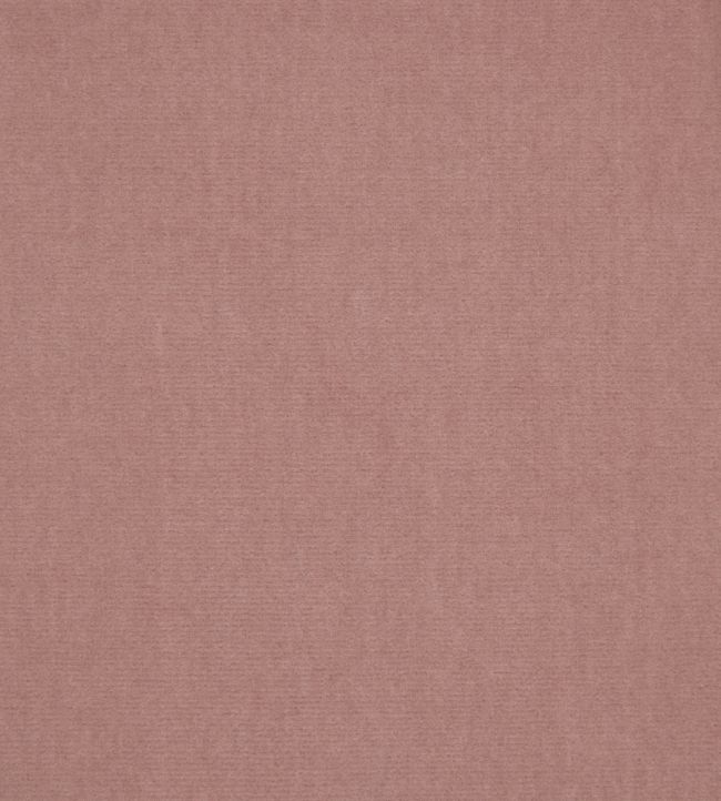 Cotton Velvet Fabric by Liberty Slipper