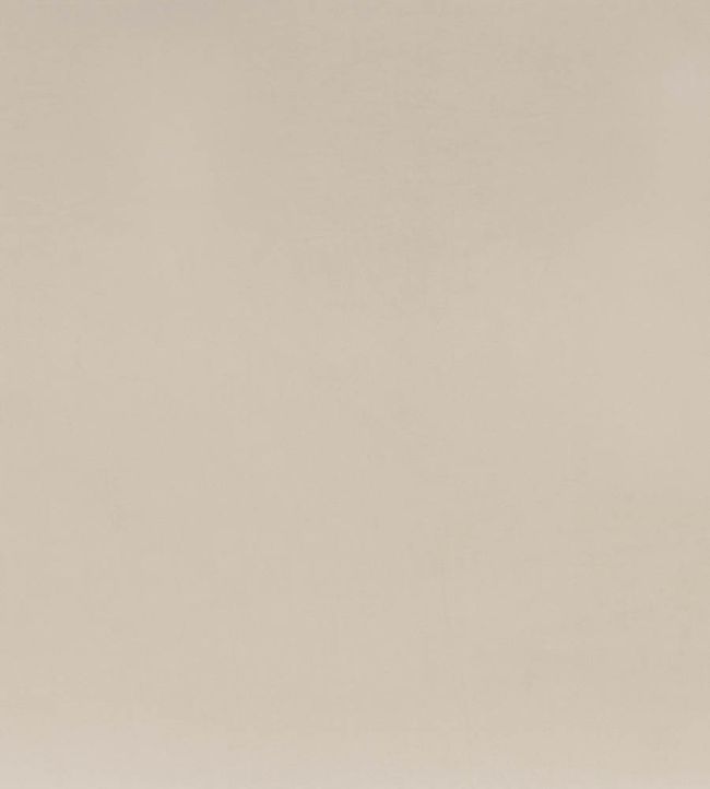 Coulisse Fr Fabric by Camengo Lin