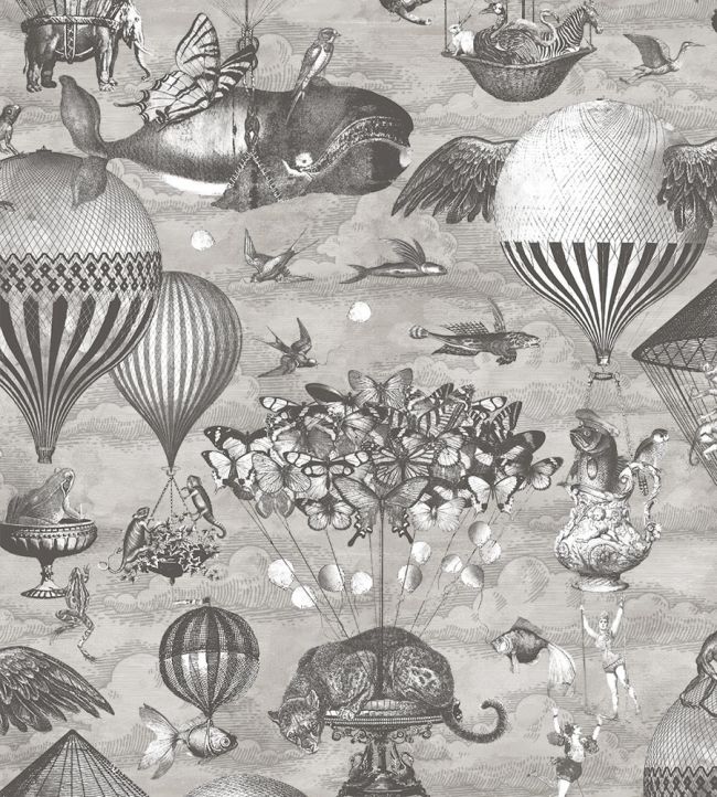 Curious Skies Wallpaper in Black