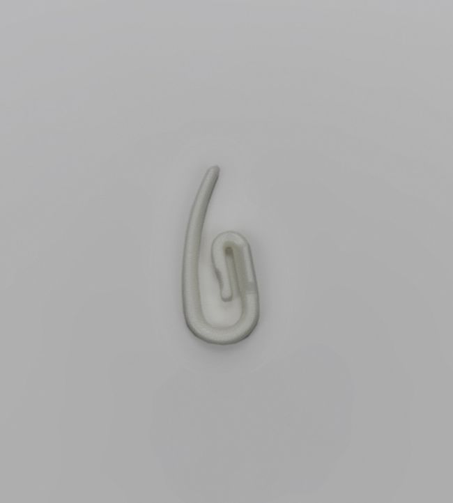 25 Curtain Hooks White