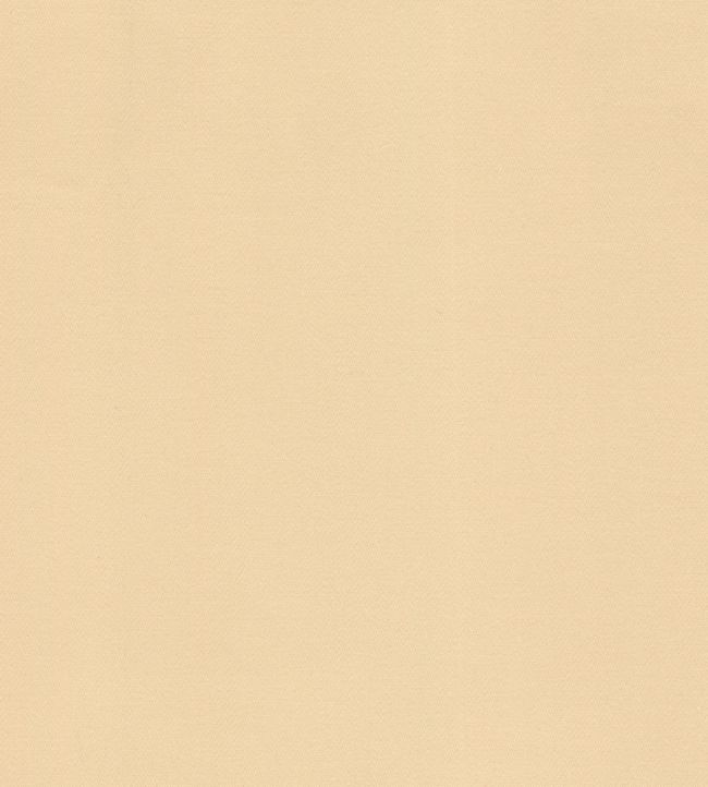 Curtain Lining - Cream by JC Cream