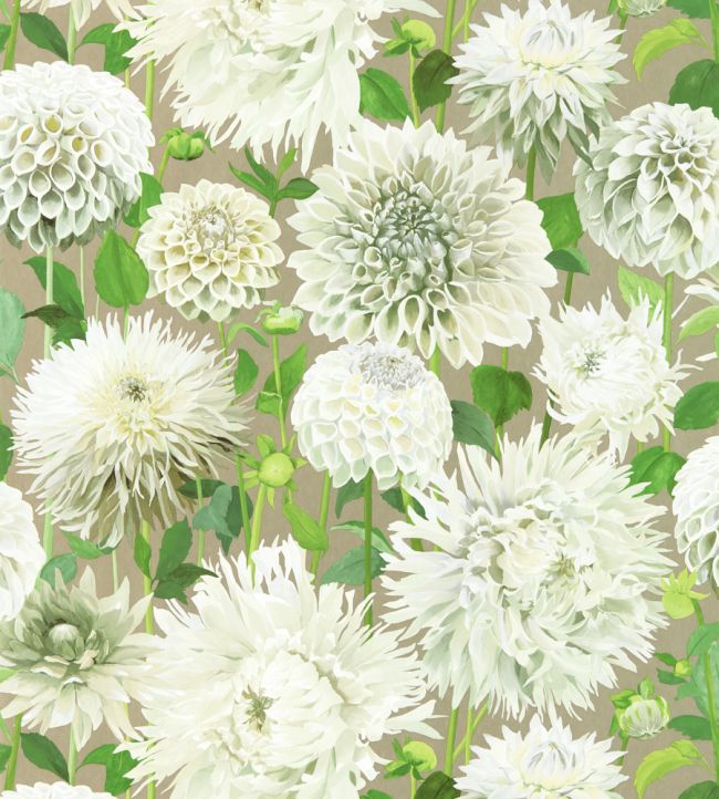 Dahlia Wallpaper in Sail Cloth/Meadow/Gilver by Harlequin | Jane Clayton