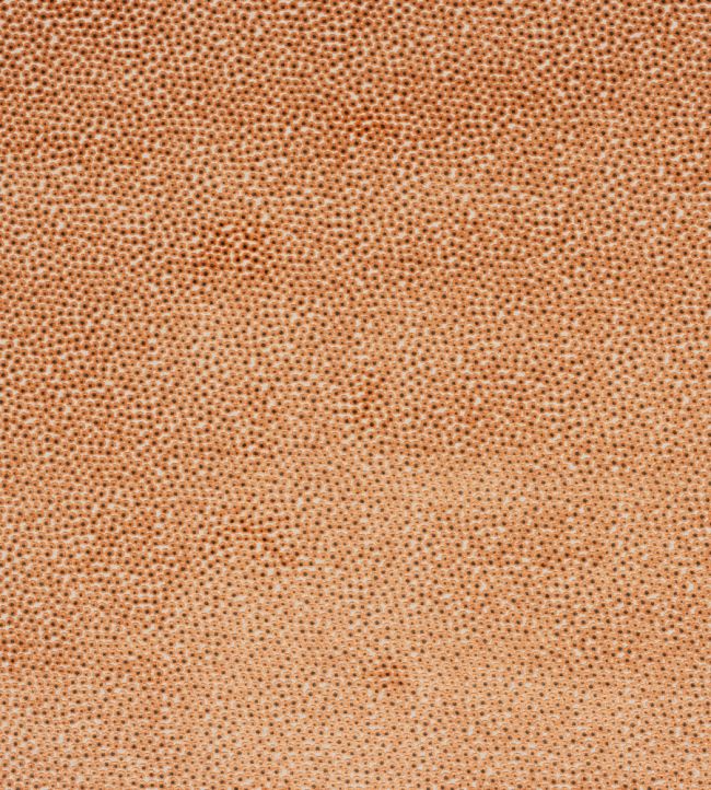 Darwin Fabric by Jane Churchill Orange