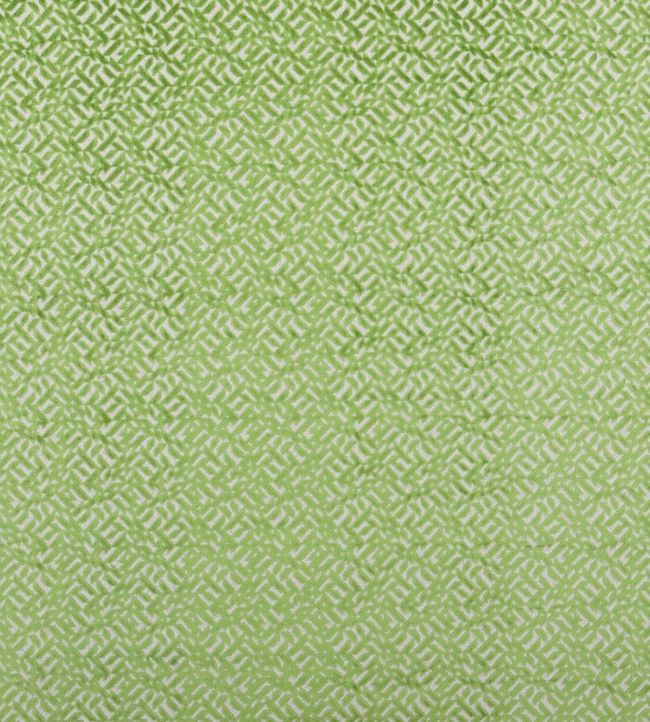 Dufrene Fabric by Designers Guild Grass