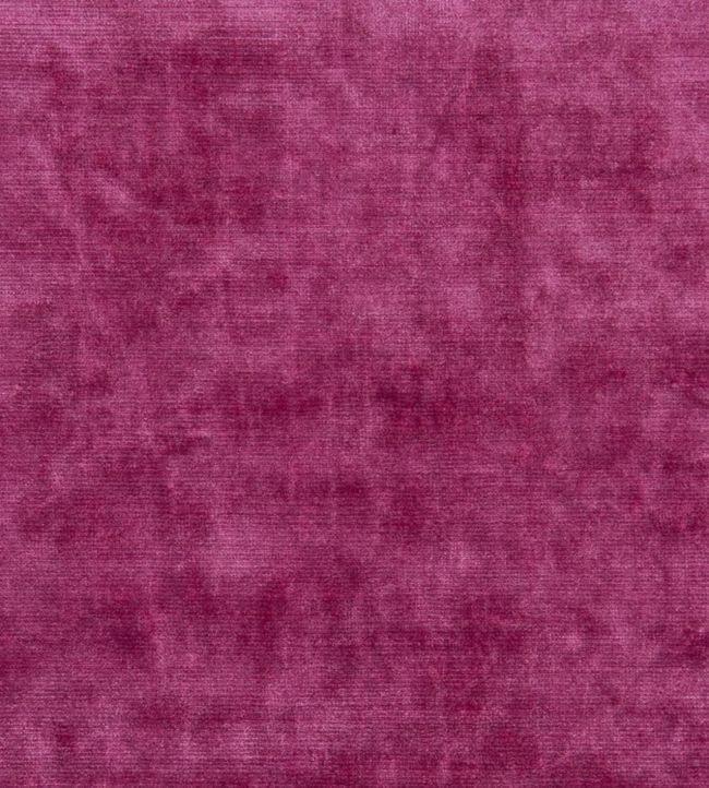 Glenville Fabric by Designers Guild Camellia