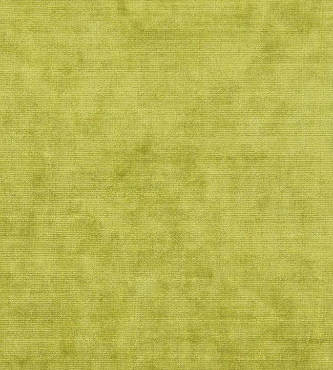 Glenville Fabric by Designers Guild Acacia