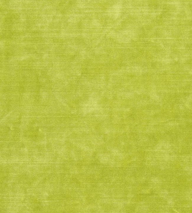 Glenville Fabric by Designers Guild Lime
