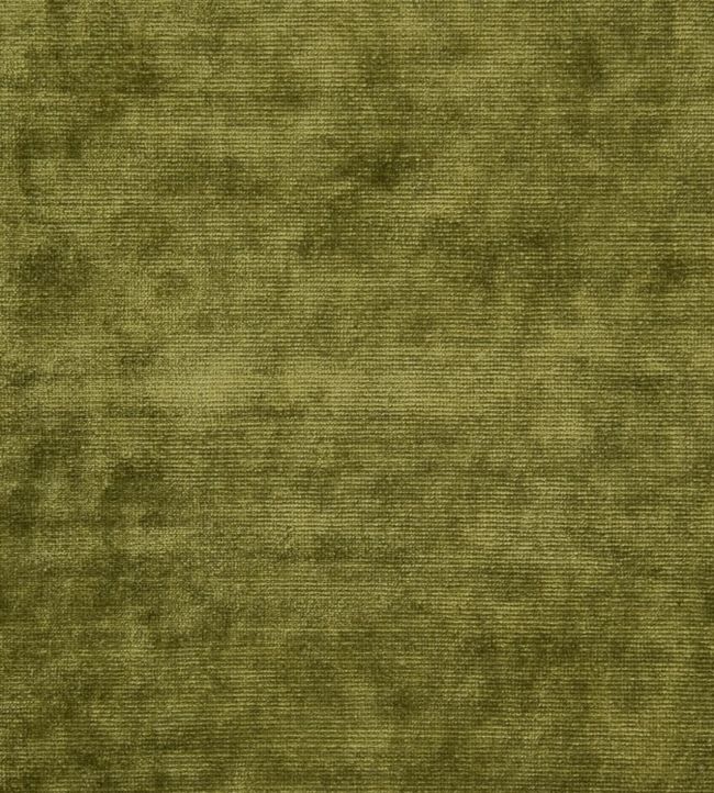 Glenville Fabric by Designers Guild Forest