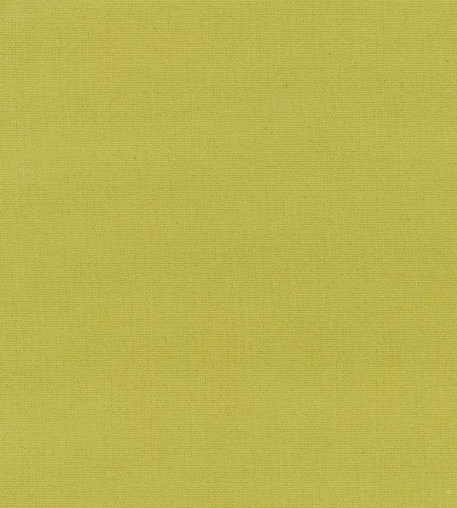 Madrid Fabric by Designers Guild Lime