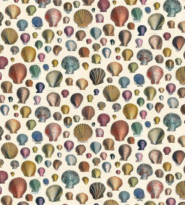 Captain Thomas Browns Shells Fabric by Designers Guild Sepia
