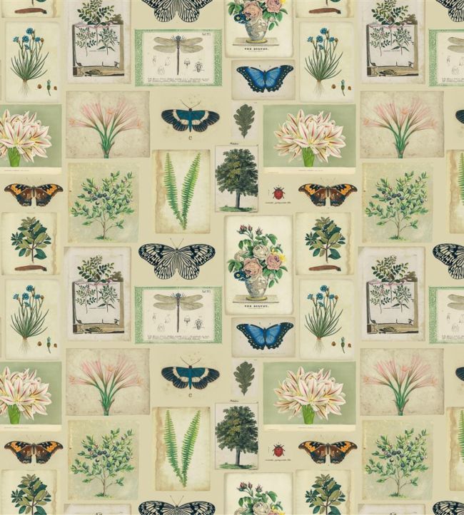 Flora And Fauna Fabric by Designers Guild in Parchment Jane Clayton