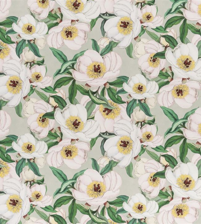 Paeonia Albiflora Fabric by Designers Guild Celadon
