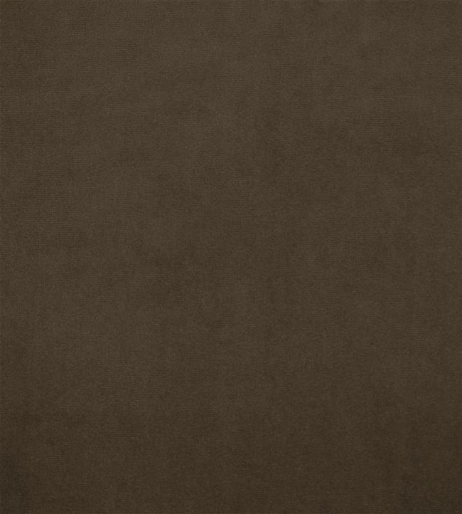 Velluto Fabric by Designers Guild Doeskin