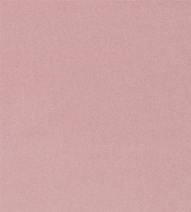 Velluto Fabric by Designers Guild Pale Rose