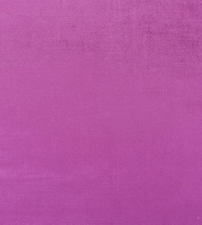 Vincenza Fabric by Designers Guild Magenta