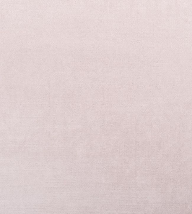 Vincenza Fabric by Designers Guild Blossom
