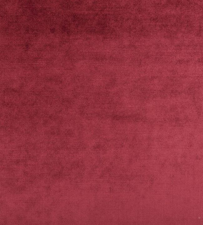Vincenza Fabric by Designers Guild Cassis
