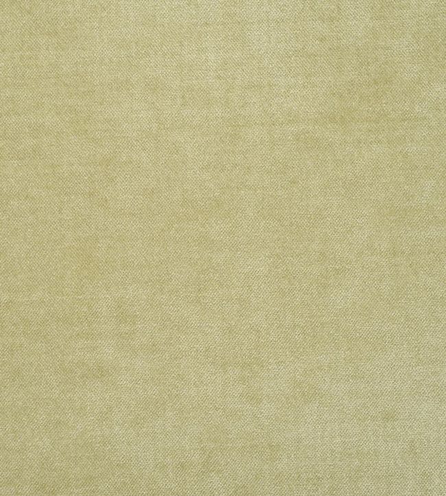 Zaragoza Fabric by Designers Guild Pear
