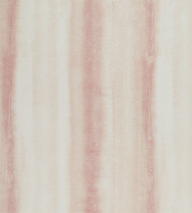 Diano Fabric by Clarke & Clarke Blush