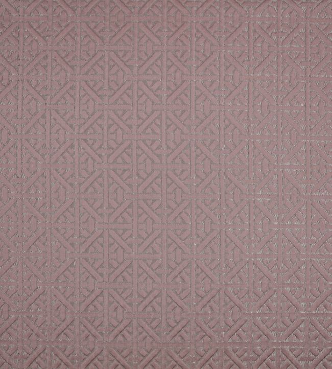 Dita Fabric in Vintage Rose by Temperley London for Romo Jane