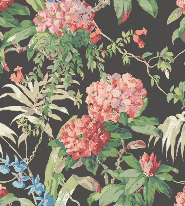 Dorchester Fabric in Black by Warner House Jane Clayton