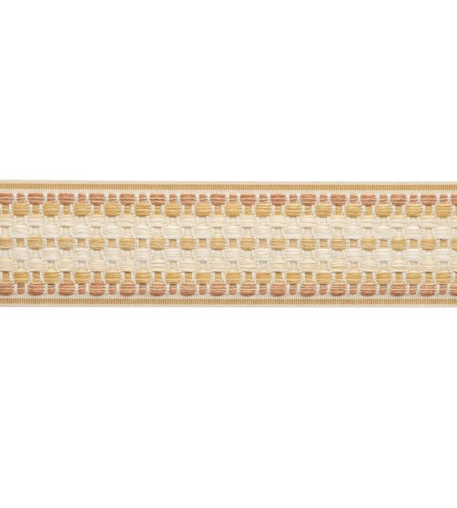 Dorset Ombre Border Trimming by Samuel & Sons Honey