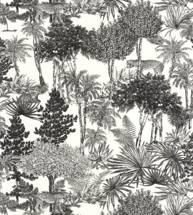Dream Forest Wallpaper in Blanc Noir by Caselio Jane Clayton