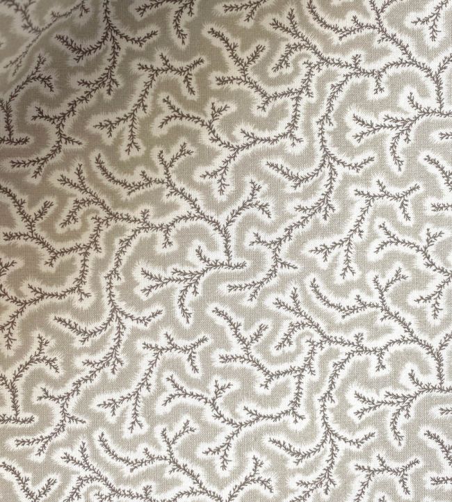 Dulcie Fabric by Ian Sanderson French Grey
