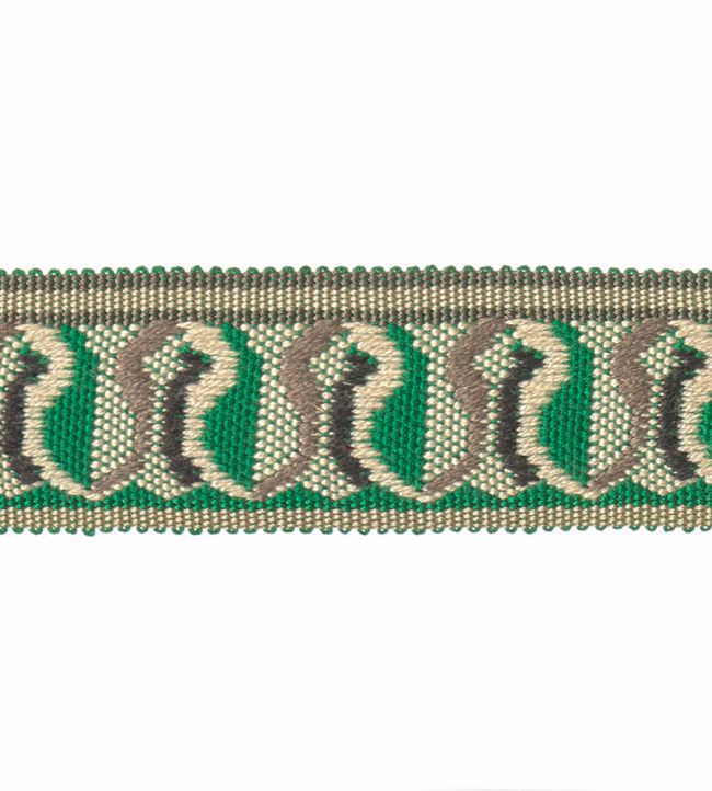 Embroidered Braid 30mm Trimming by Houles Vert Malachite