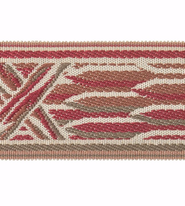 Embroidered Braid 60mm Trimming by Houles Rouge Cardinalis