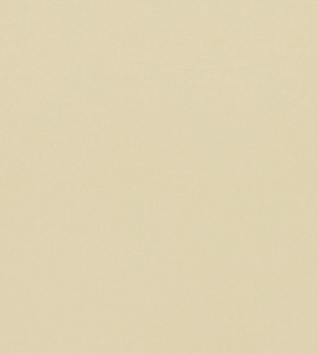 Empower Plain Fabric by Harlequin Almond