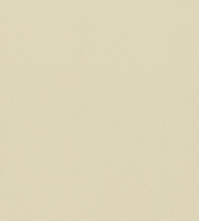Empower Plain Fabric by Harlequin Beach Path