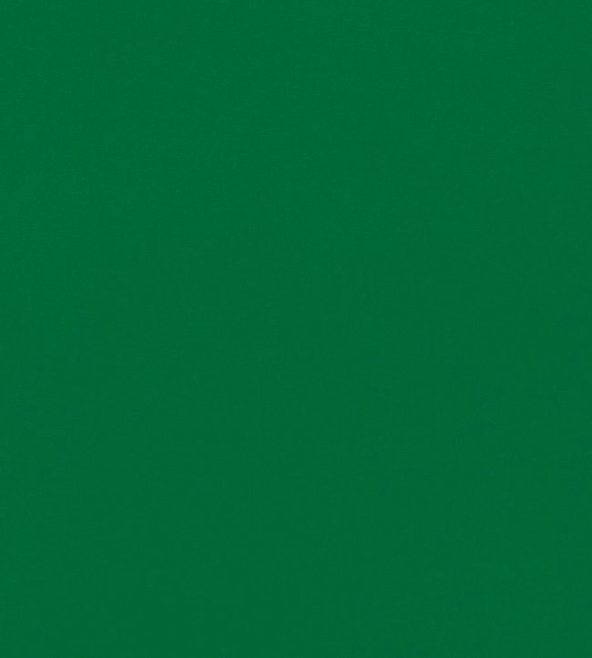 Empower Plain Fabric by Harlequin Bottle Green