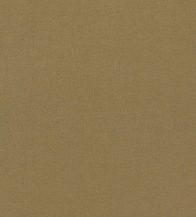 Empower Plain Fabric by Harlequin Brass