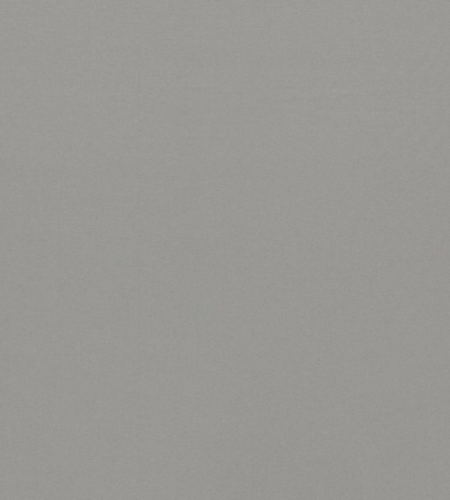 Empower Plain Fabric by Harlequin Feather Grey