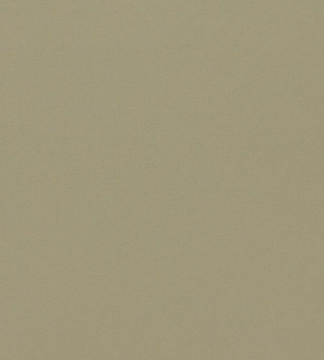 Empower Plain Fabric by Harlequin Putty