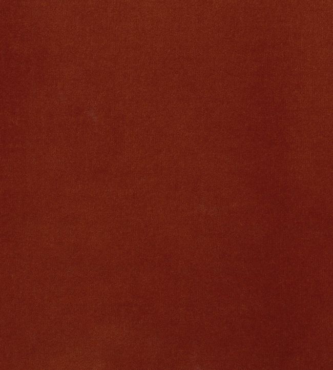 Encore Velvet Fabric by Osborne & Little 5