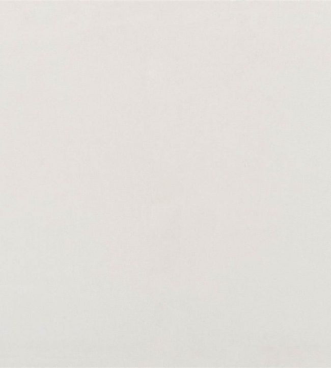 English Riding Velvet Fabric by Ralph Lauren Cream