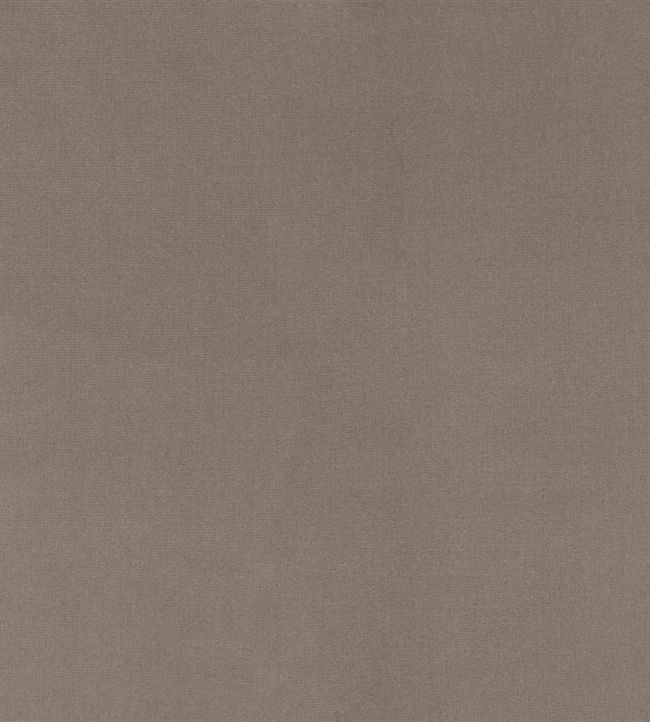English Riding Velvet Fabric by Ralph Lauren Grey
